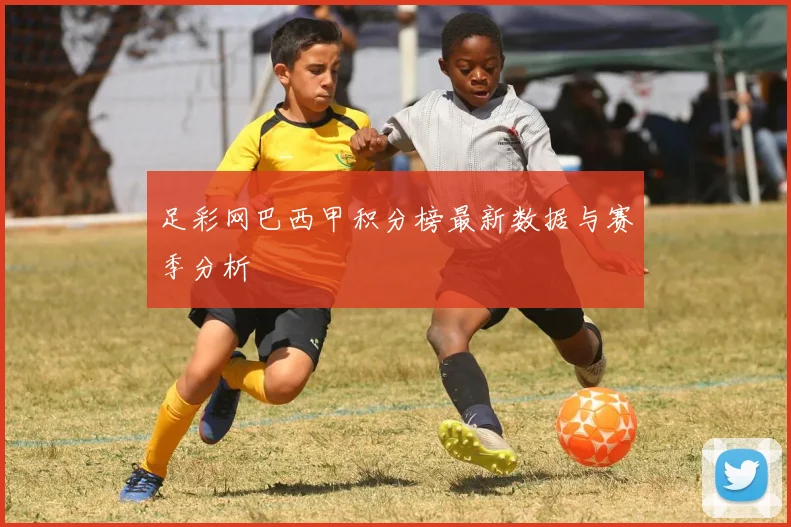 足彩网巴西甲积分榜最新数据与赛季分析