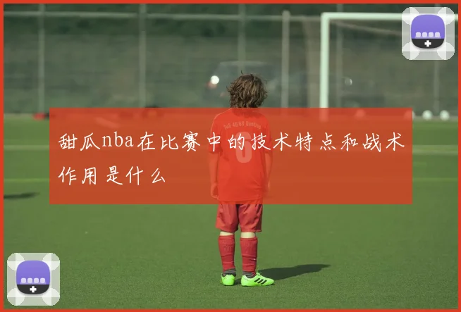 甜瓜nba在比赛中的技术特点和战术作用是什么